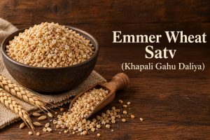 Emmer Wheat Satv (Khapali Gahu Daliya)