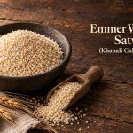 Emmer Wheat Satv (Khapali Gahu Rava)